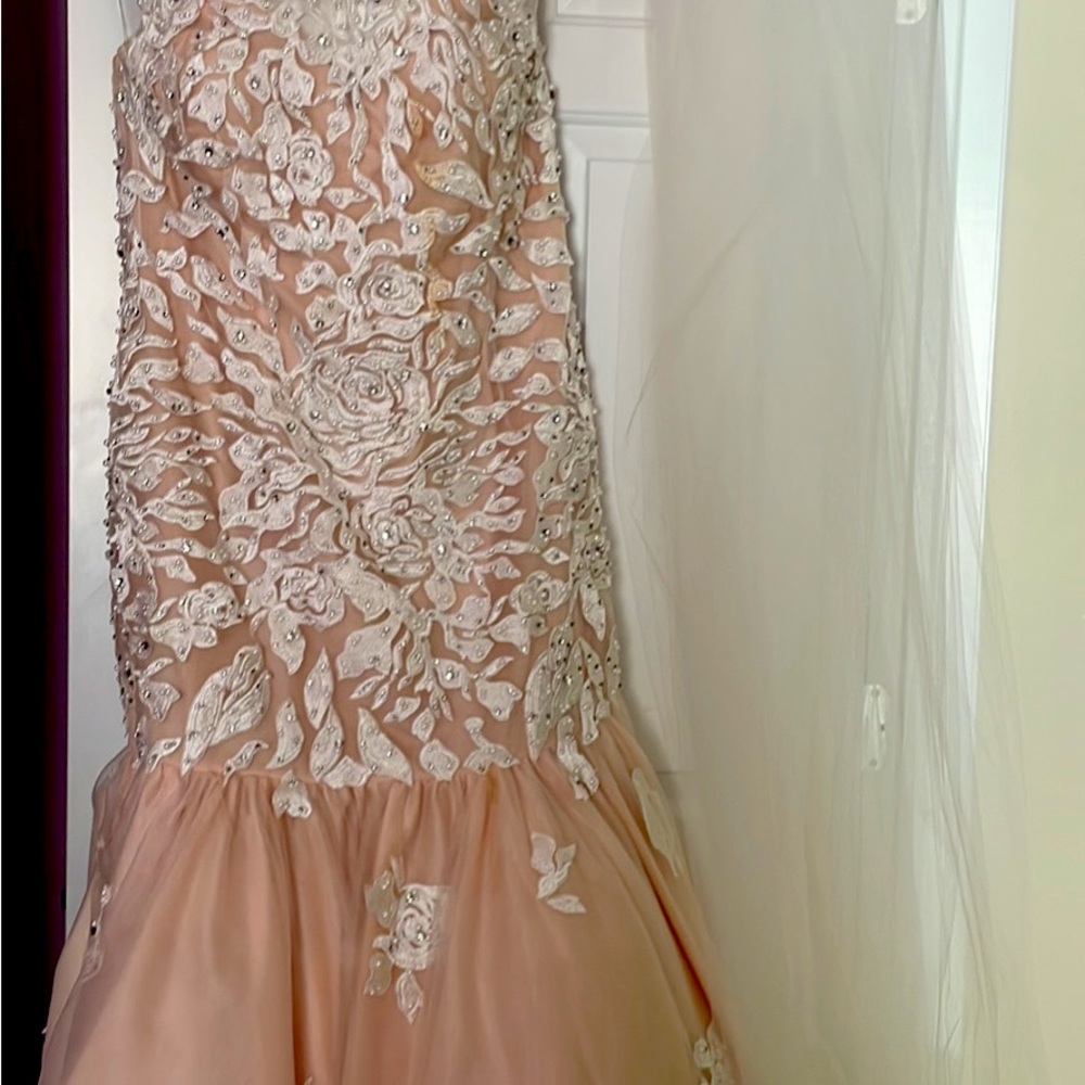 Wedding dress blush with ornate overlay